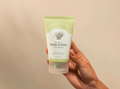 Aloe Breeze Body Lotion