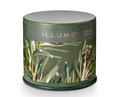 ILLUME - Balsam & Cedar Vanity Tin Candle