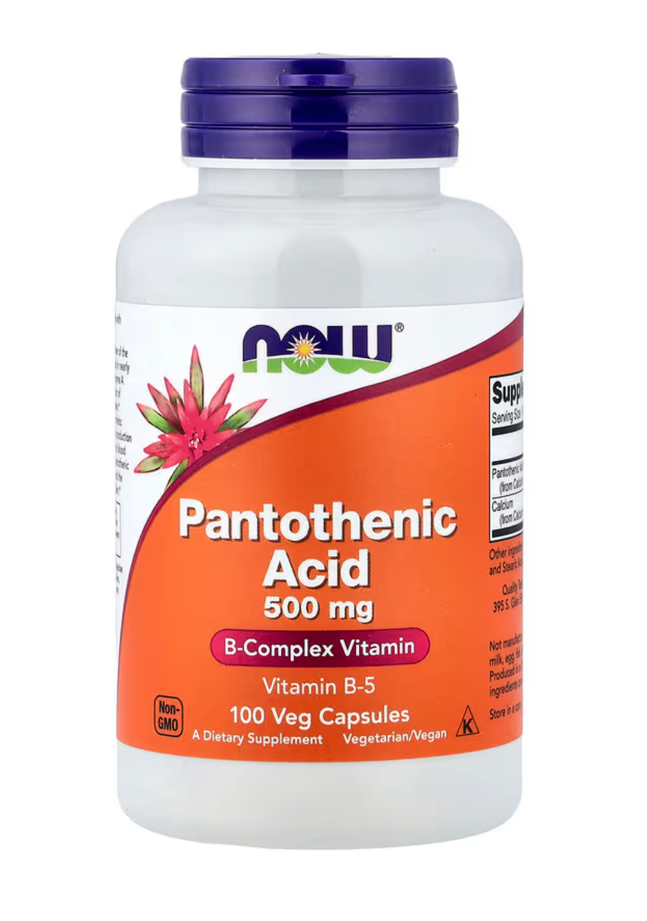 Pantothenic Acid, 500 mg, 100 Veg Capsules